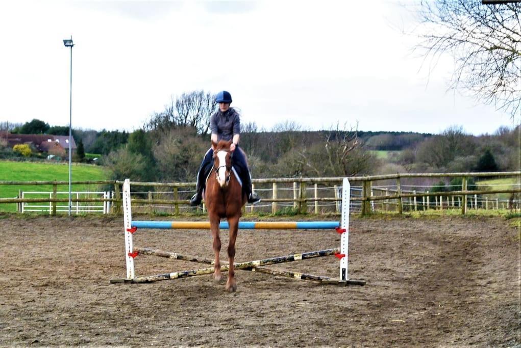 شقة Hillfields Farm Barn - A Rural Equestrian Escape كوفنتري المظهر الخارجي الصورة
